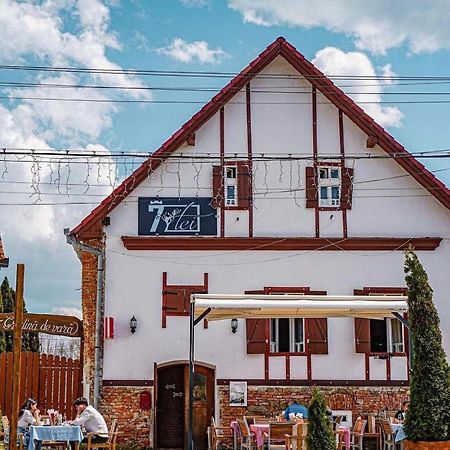 Pensiunea 7 Tei Cisnadioara Buitenkant foto