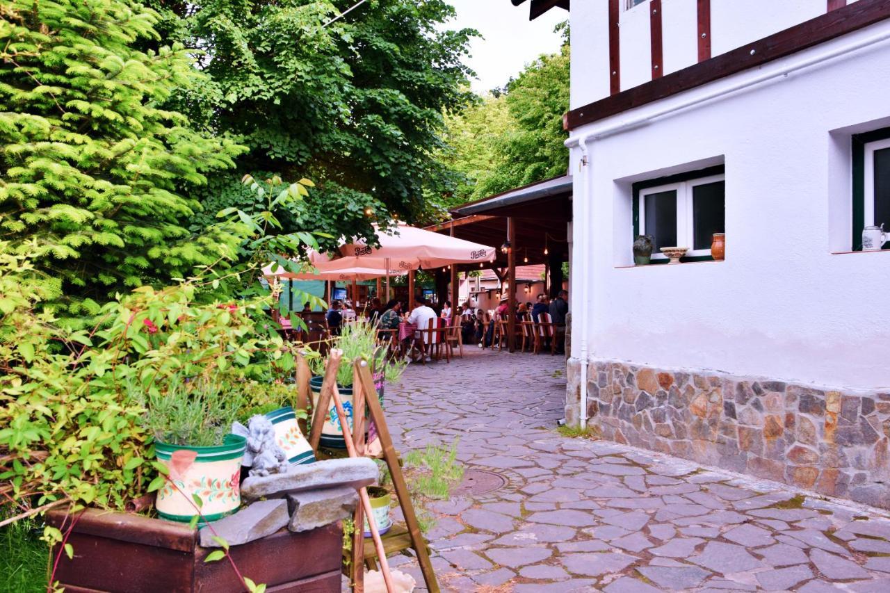 Pensiunea 7 Tei Cisnadioara Buitenkant foto