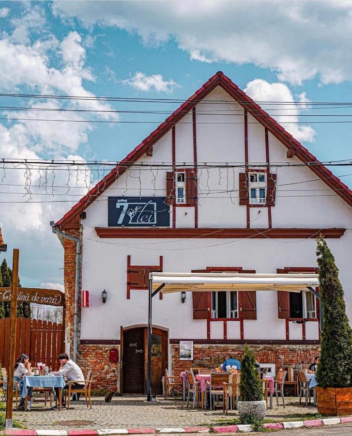 Pensiunea 7 Tei Cisnadioara Buitenkant foto